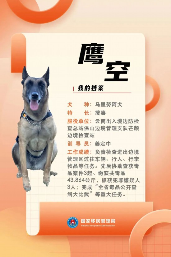 意昂娱乐注册：国家首批“功勋犬”，来了！