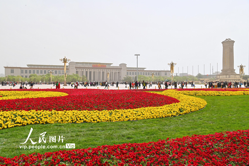 北京天安门广场两侧绿地花卉布置完成迎“五一”