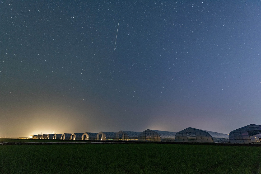 这是6月26日凌晨在黑龙江省富锦市万亩水稻公园内拍摄的稻田和星空（长时间曝光）。