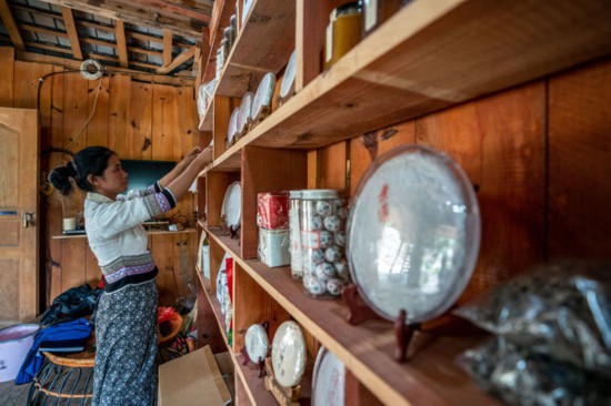 在景迈山糯岗古寨，傣族茶农安板选在整理茶架（9月14日摄）。新华社记者 胡超 摄