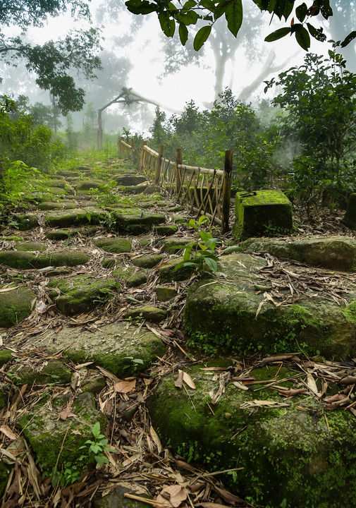 一段坡度达20度的石砌小路是景迈大寨的茶马古道遗存（8月31日摄）。新华社记者 李贺 摄